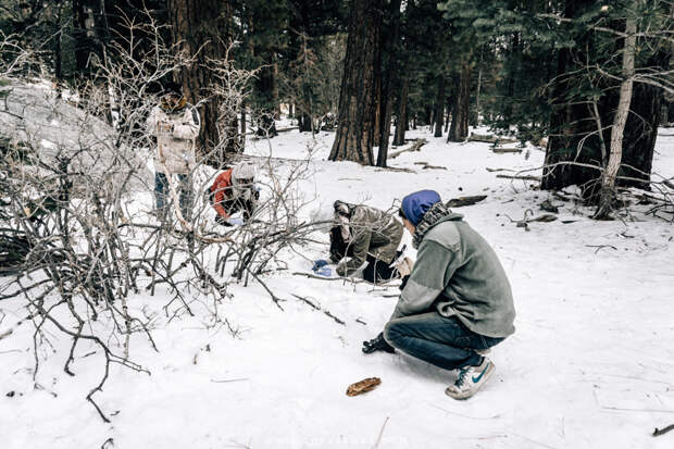 Winter in Mount San Jacinto State Park-14.jpg