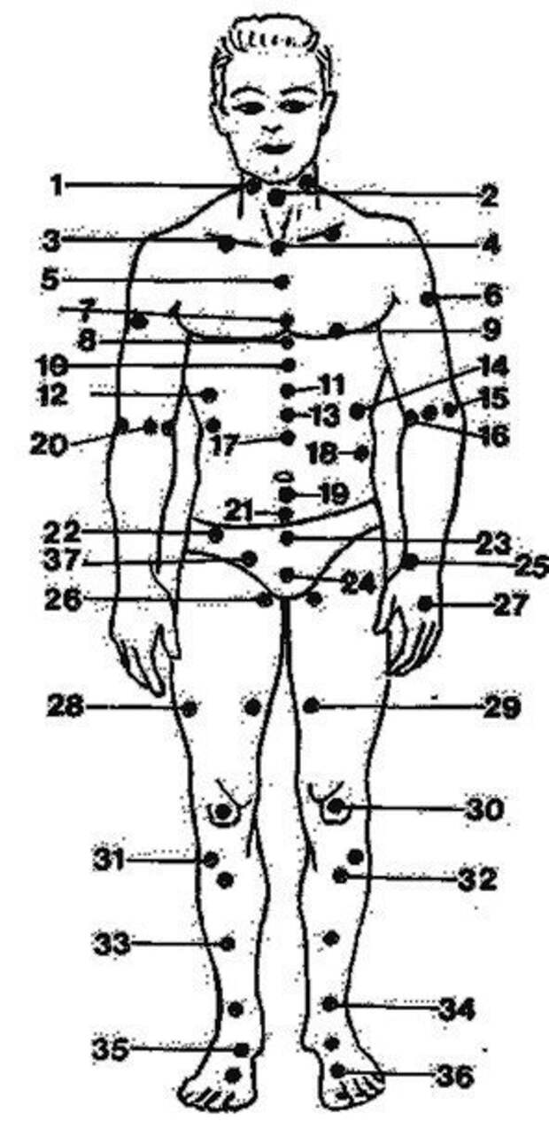 Самые места человека. Тело человека анатомия болевые точки. Анатомия человека болевые точки схема. Уязвимые точки на теле человека для ударов. Точки парализации частей тела на теле человека.