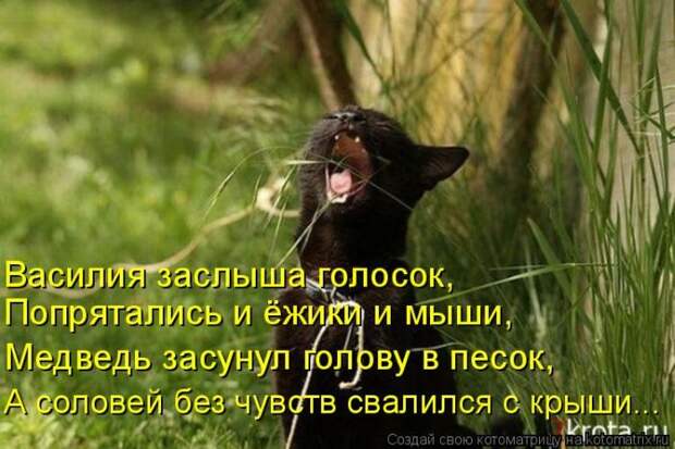 Мысли вслух :)