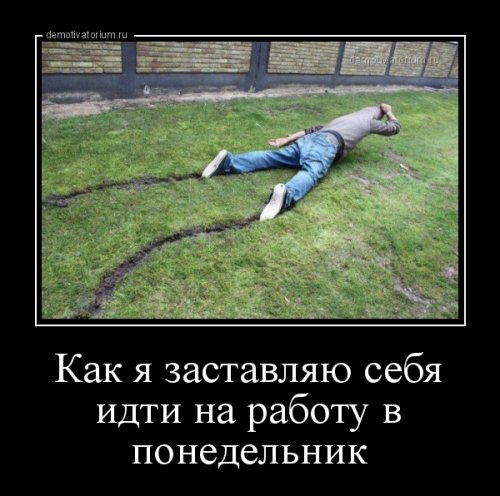 Новые демотиваторы (16 шт)