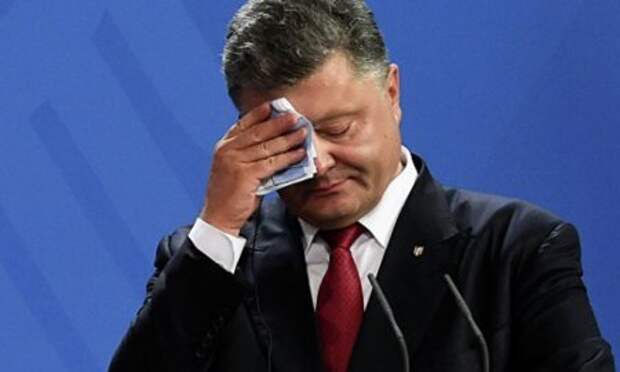 Порошенко «на коне»: декларация президента за 2015 год Порошенко «на коне»: декларация президента за 2015 год