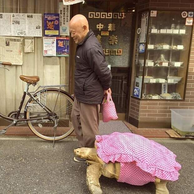 Нарядилась на прогулку)