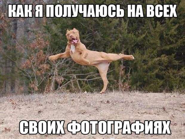 Прикольные картинки (98 фото)