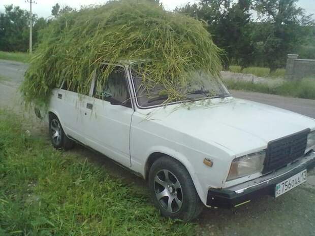 Подборка автоприколов. Часть 225 авто, автоприколы, приколы