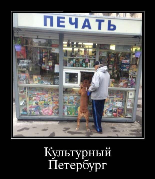 Демотиваторы