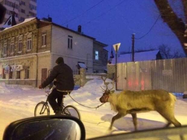 Прикольные картинки