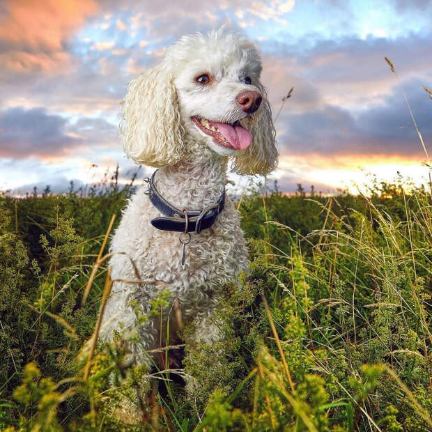 Финалисты конкурса лучших фотографий 2018 года из Instagram