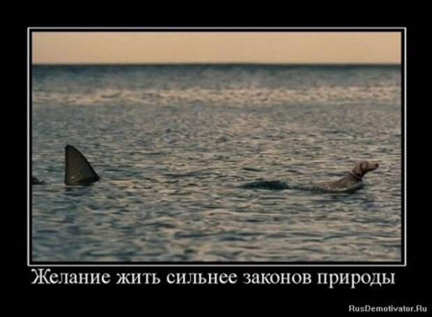 Деотиваторы серьезные про жизнь со смыслом.