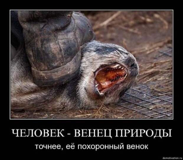 Демотиваторы про дружбу и любовь со смыслом.