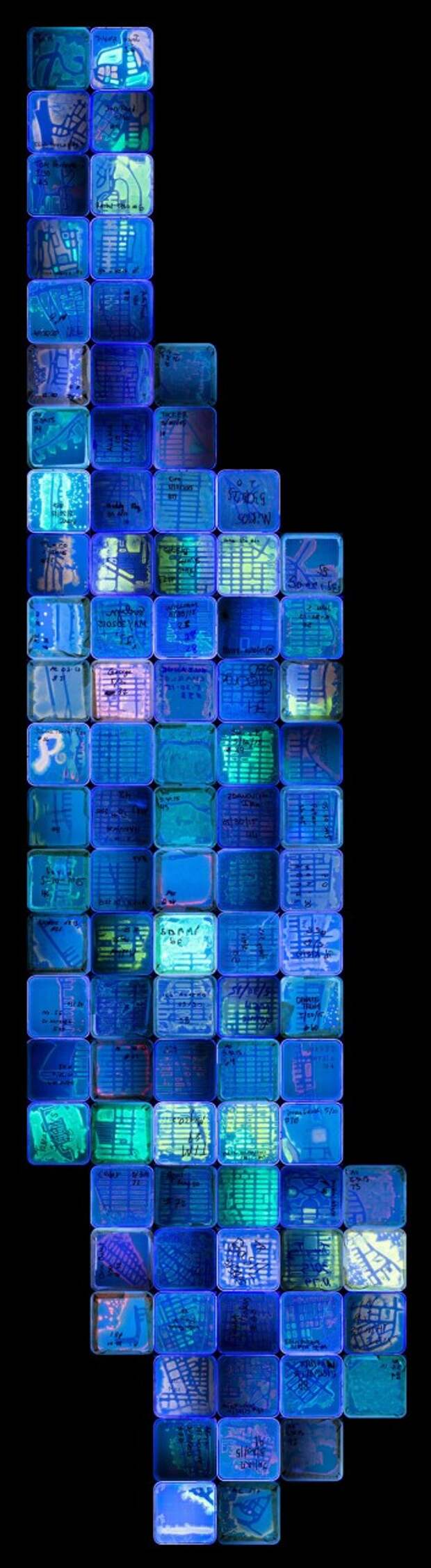 Второе место: "Карта-биом Нью-Йорка" Кристины Марицци, Escherichia coli K12 бактерия, картина, микробиолог