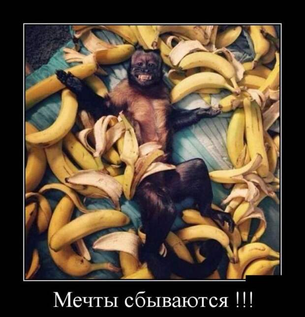 Демотиваторы. Наслаждайтесь!