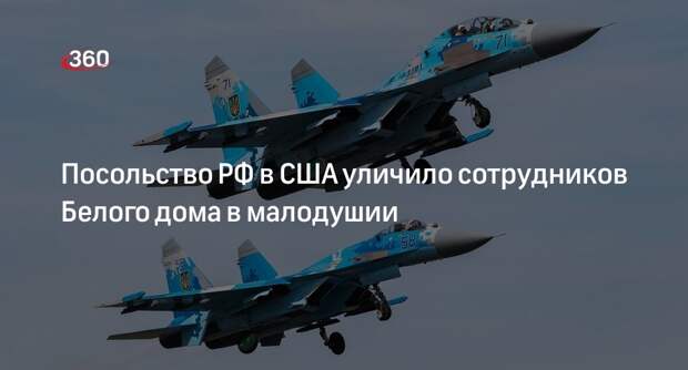 Посольство России в США сочло малодушием оскорбления Белого дома в адрес летчиков Су-27