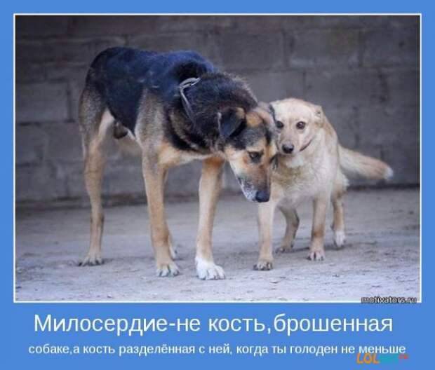 Мотиваторы.Начните выходные с радостью в  сердце.