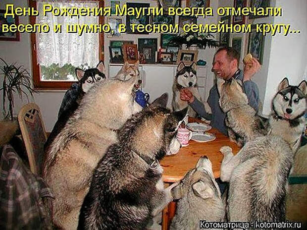 35d3f186c96f9c9ea847bd0c69a_prev