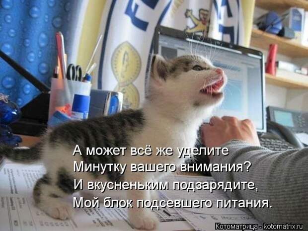 Лучшие котоматрицы недели (50 фото) Лучшие котоматрицы недели (50 фото)