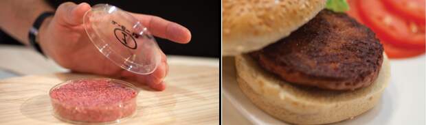 A composite image showing a lab-grown hamburger patty on the left, and on the right the burger cooked to well-done and served on a bun.