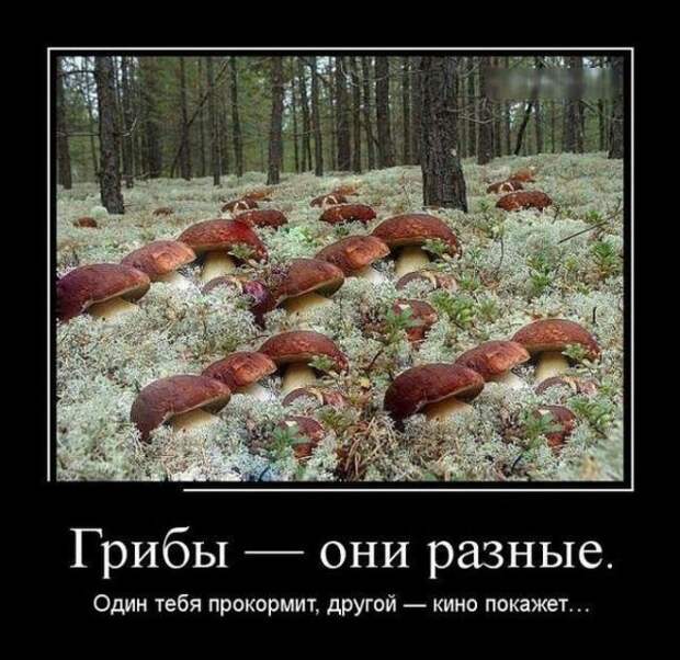 Демотиваторы (14.01.16)