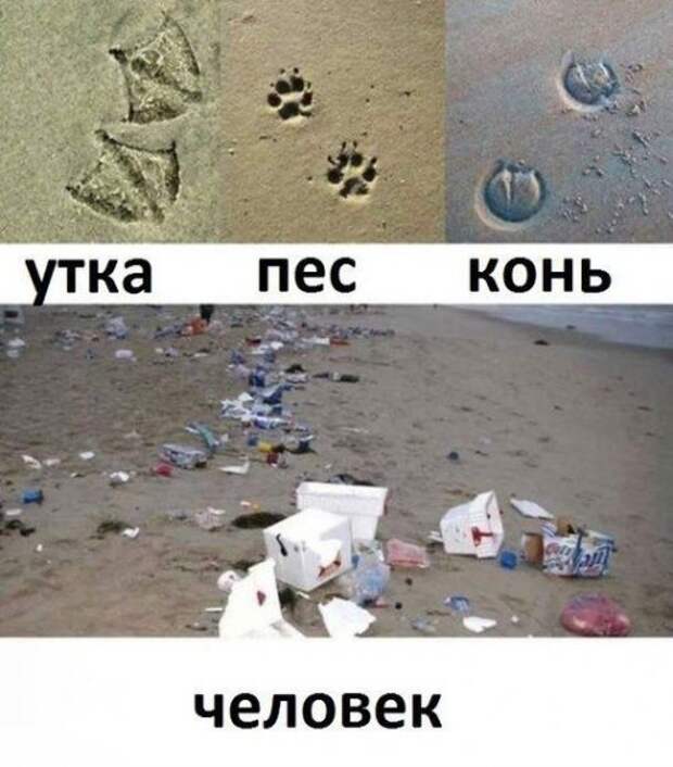 Прикольные картинки дня (36 шт)