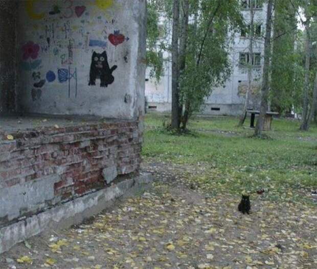 Фото приколы и совет дня!