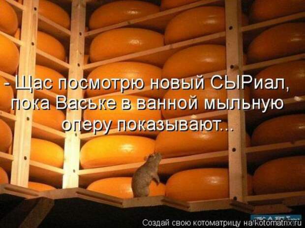 Котоматрицы(картинки с надписями)