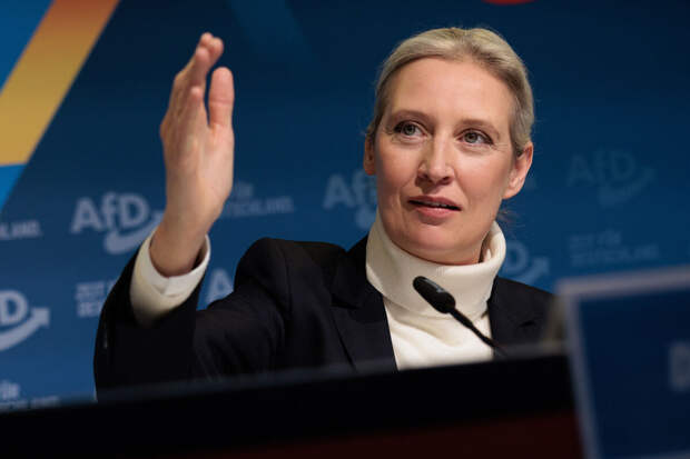 Сопредседатель АдГ Вайдель раскритиковала итоги визита Зеленского в Германию