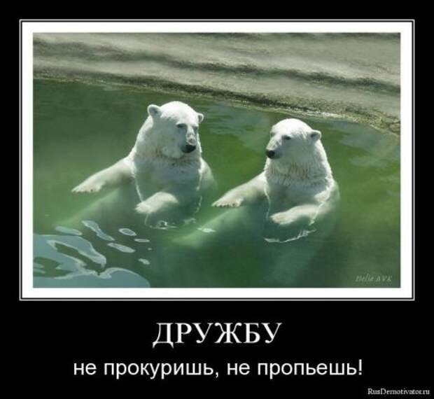 Демотиваторы про дружбу.