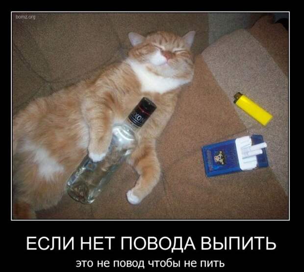 Демотиваторы (42 фото)