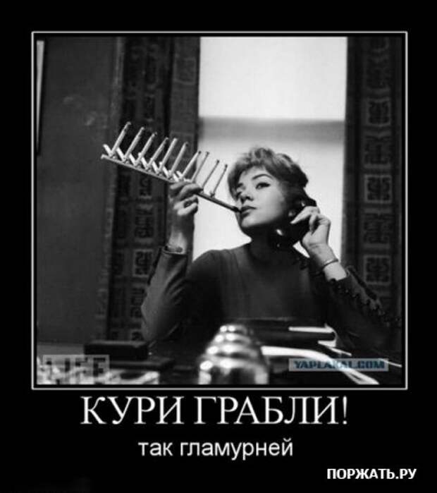 Демы прикольные у нас таких на сайте много.