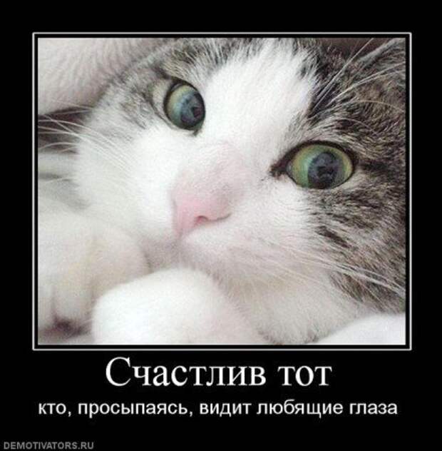 новые демотиваторы со смыслом