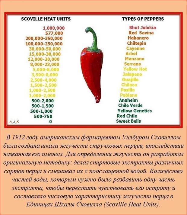 Интересное и познавательное факты, картинки, интересное