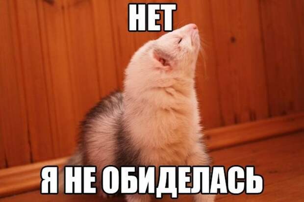 картинки