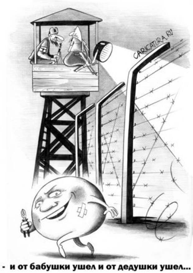 Черный юмор! карикатуры (31 фото)