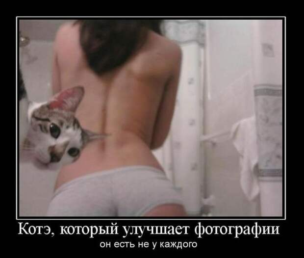 Демотиваторы (42 фото)