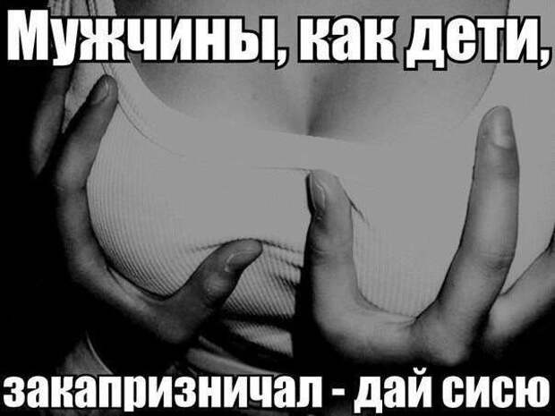 Картинки со смешными надписями Картинки со смешными надписями
