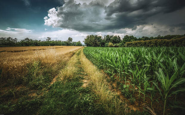 untitled by Attilio Molteni on 500px.com