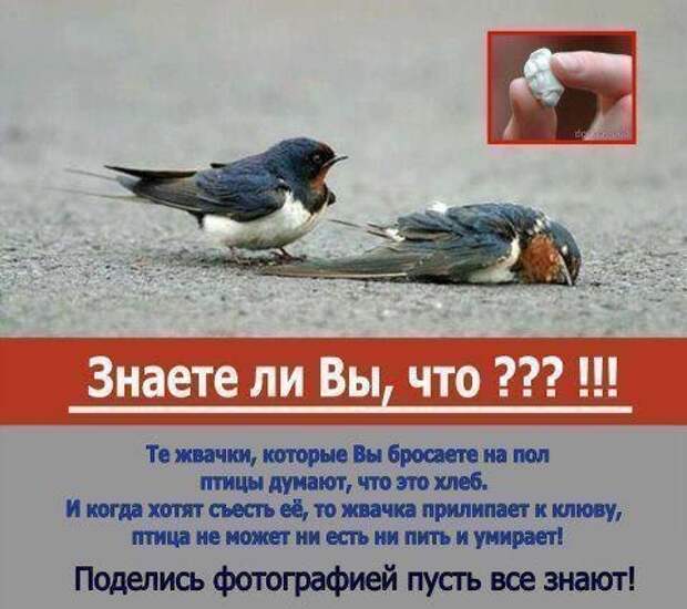 берегите природу берегите природу