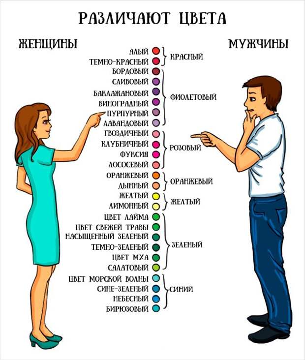 отличия между мужчинами и женщинами