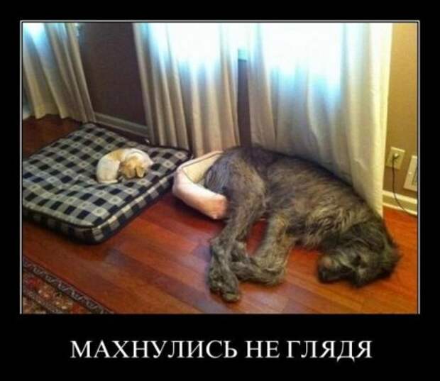 Демотиваторы к концу рабочей недели, супер смешно и прикольно!
