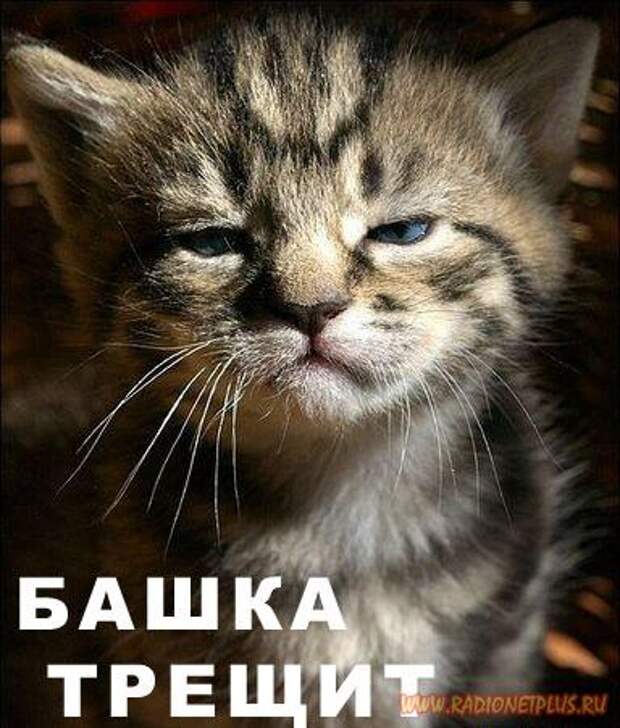 Улыбнись! :) (22фото)