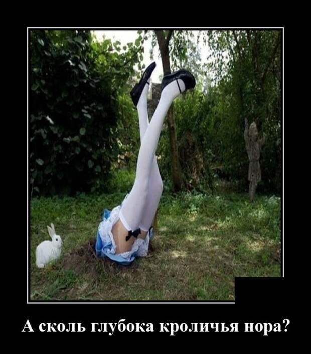 www.vsyako.net