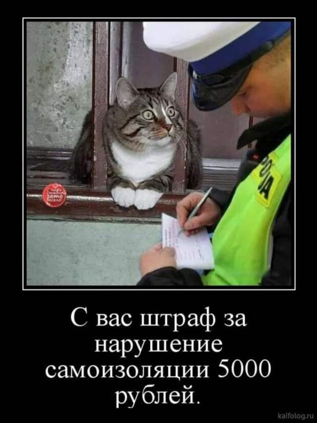 Прикольные демотиваторы с надписями. Подборка chert-poberi-dem-chert-poberi-dem-07090424072020-17 картинка chert-poberi-dem-07090424072020-17
