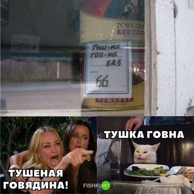 И снова всё опровергающий котик И снова всё опровергающий котик