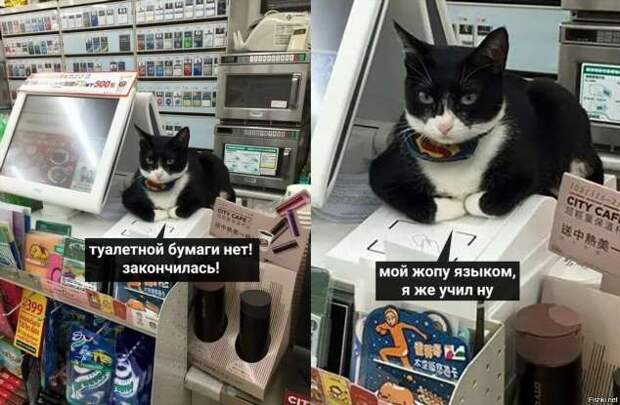 Демотиваторы про коронавирус с надписями. Подборка chert-poberi-dem-koronavirus-chert-poberi-dem-koronavirus-08320614122020-5 картинка chert-poberi-dem-koronavirus-08320614122020-5