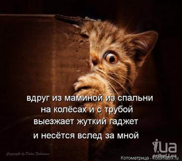 Симпатюли
