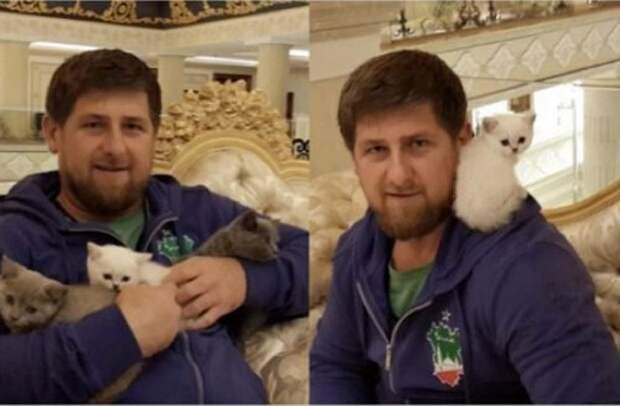 Любимые питомцы государственных деятелей (22 фото)