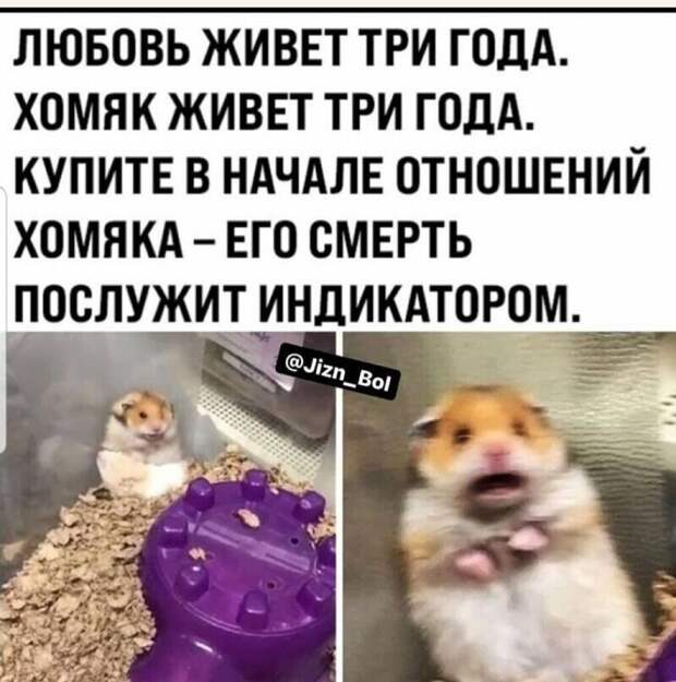 Интернет переполнен советчиками Интернет переполнен советчиками