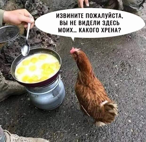 14. 14.