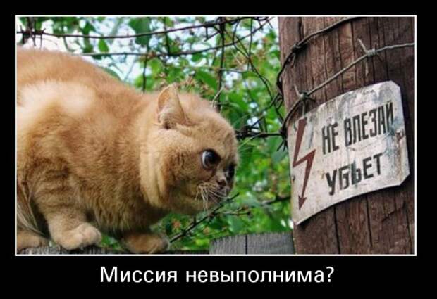 Пятничная подборка демотиваторов  демотиватор, юмор