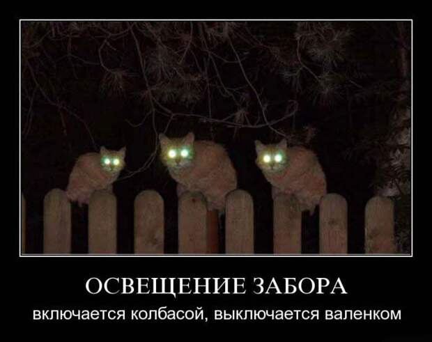 Сборник моих демотиваторов демотиватор, сборник