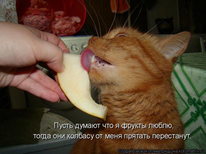 Мысли вслух :)
